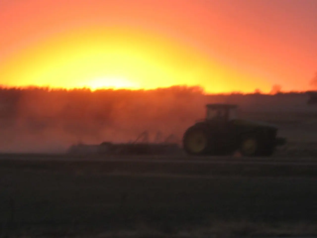 Groups of tractors, equipped with forks, are being used again.