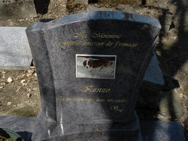 A picture-taker explores the bleakest, isolated regions globally.