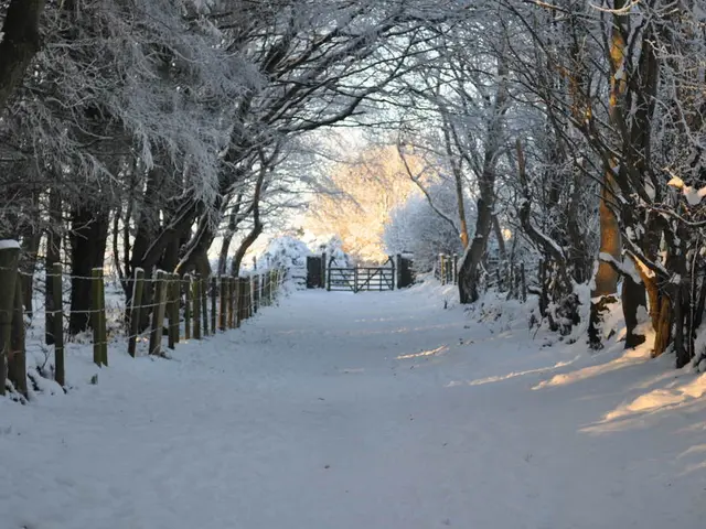 Icy, Immobilized Roadways