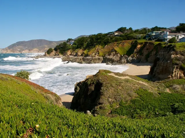 Preferred Leisure Activities During Free Time: