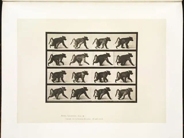 Traveling through Europe - Stay Alert for Potentially Dangerous Wildlife