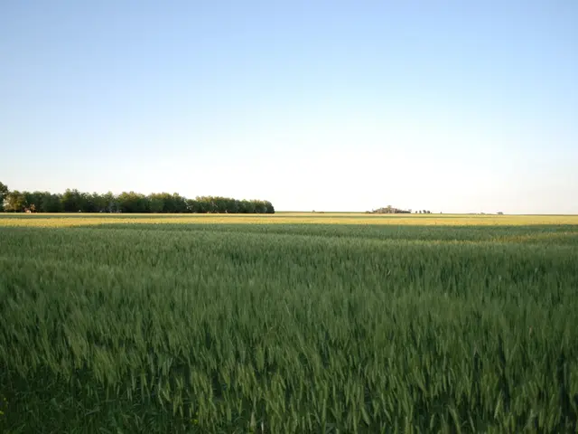 Uncovering Irish Ancestry: Journey through Family Genealogy with a Car Tour