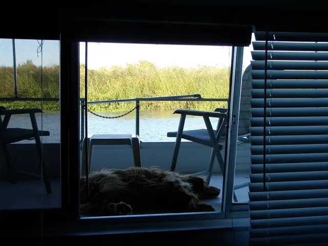 TopDestinations for a Pets' Holiday Excursion