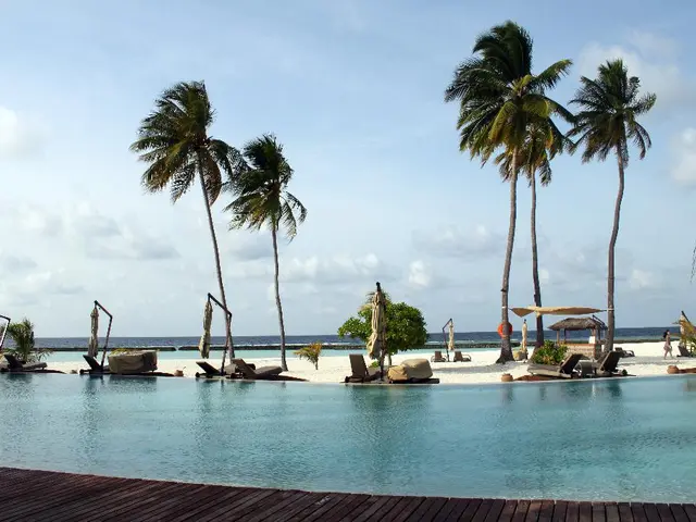 Exclusive Offers on Eleventh-Hour Air Tickets for North America's Prime Sunny Spots