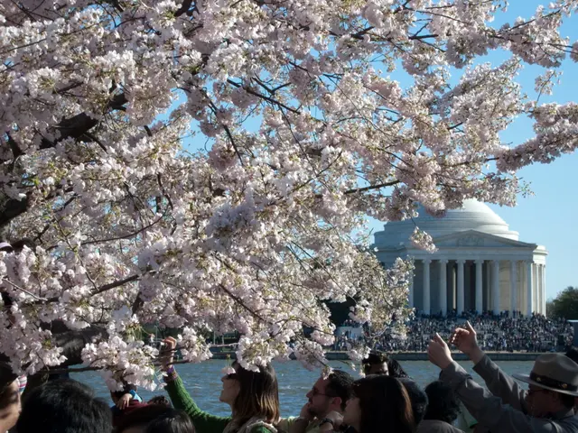 Record-breaking numbers of tourists flocked to Japan in the initial half of the year