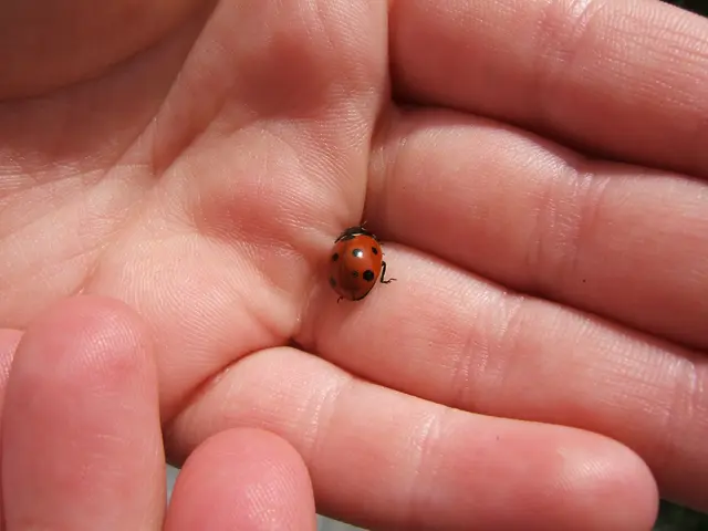 Elderly Patient Suffers from Rare Nerve Condition, Journeys from Paderborn to Oschersleben for...