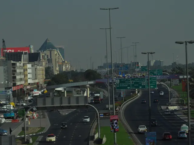 Remote work trends in Northern Colorado lead to increased adoption of digital hobbies