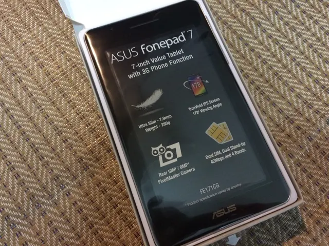 Smartphone Usage, Roaming Options, and Online Banking During Summer 2025