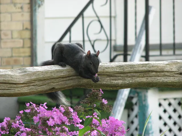 Top Australian Crime Novels Unveiled