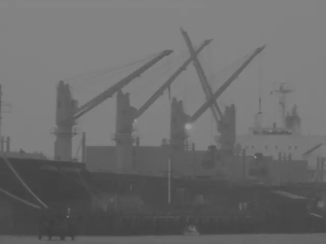 Groups of Cruise Ships Formed at Warnemünder Wharf