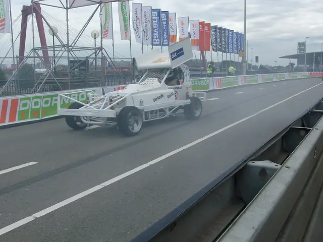 Guidelines for Illumination and Signage on Pony Carts and Other Low-riders Pulled by Animals