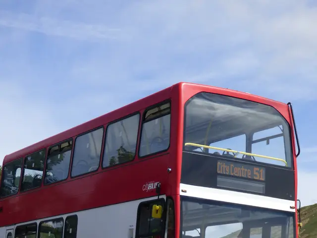Distinguishing Features between Urban and Long-Distance Buses