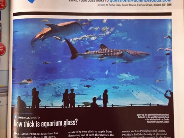 The Importance of Multilingual Tour Guides in Bolstering Visitor Engagement at National Parks