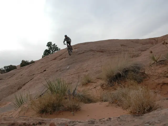 Top-tier Bicycle Bells of 2025: Our Favorite Selections Unveiled