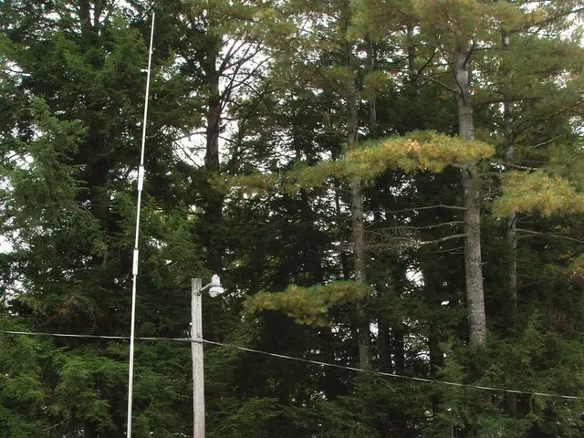 Top suggestions for maximizing your winter caravanning experience