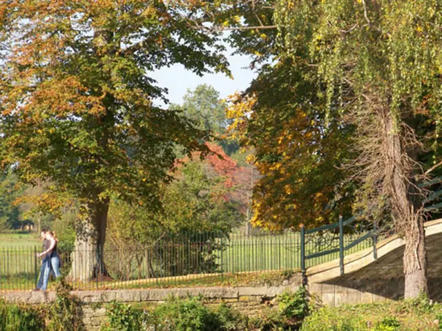 Top Outdoor Expedition Planners for Crafting Awe-Inspiring Field Trips in the Great Outdoors