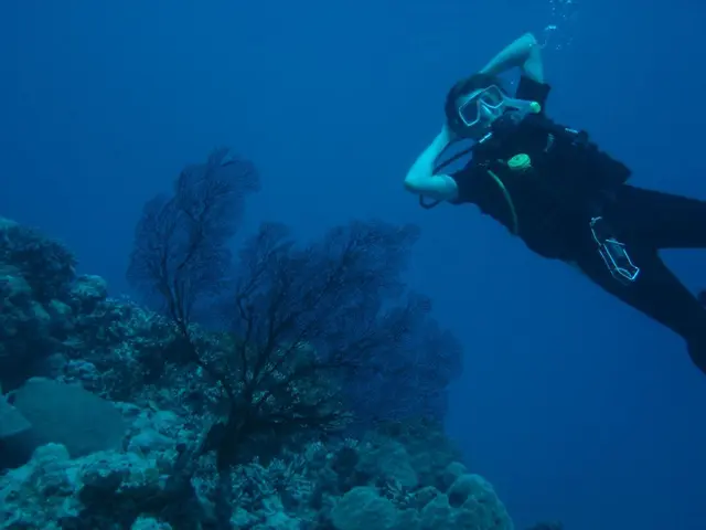 Top-25 Scuba Diving Destinations in Corfu, Classified by Type (Grottoes, Barrier Reefs, Rock Walls,...