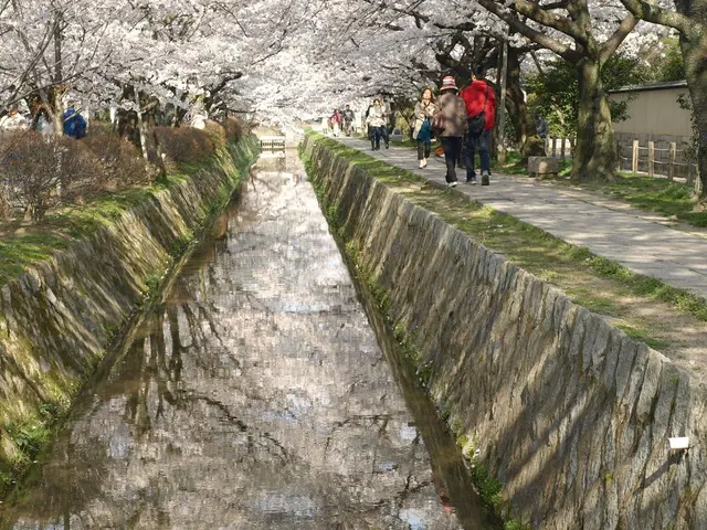 Travel-Ready Backpacks for Fashionable Journeys: Top 5 Picks