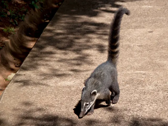 The Cause of Motion Sickness Explained: It's All About the Discrepancy Between Real and Perceived...