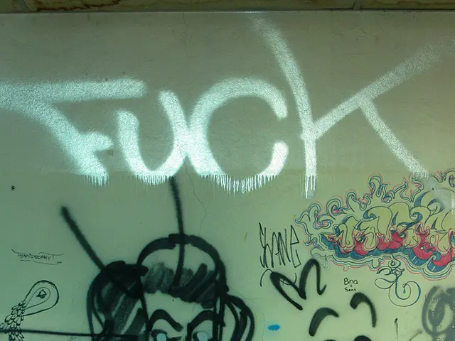 Guide for Applying Acrylic Paint on Walls: All You Need to Know