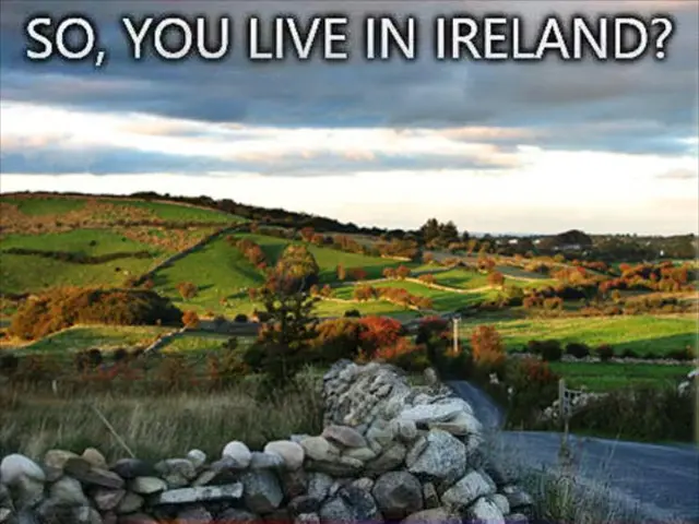 Forest blazes in sought-after vacation spots: Essential information for vacationers at present