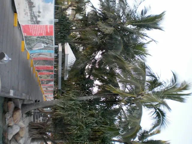 Examination of Land Snorkeling: A Fascinating Adventure for Travel and Domestic Pursuits