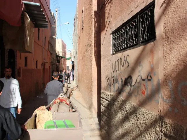 Madonna's heartfelt appeal to the Pope regarding Gaza reveals only a part of the story