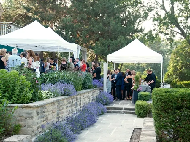 Exploring Language Mastery by Embracing Awe in Natural Settings