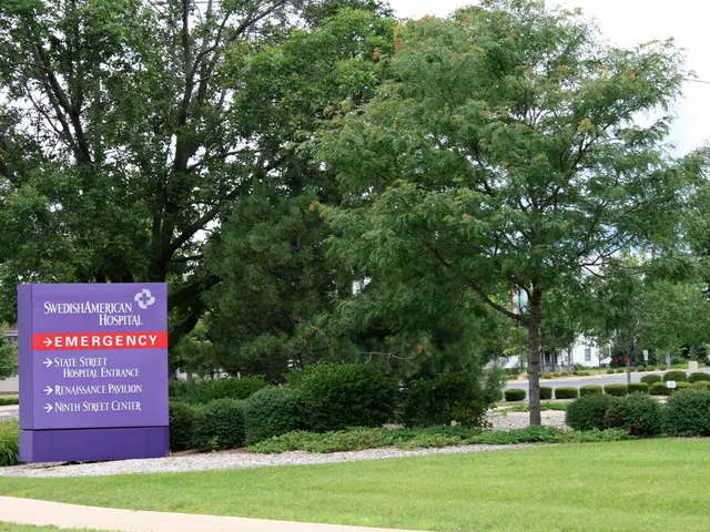 Delving deeper into Rapid City: Beyond the scope of Mount Rushmore