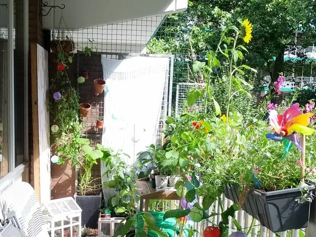 Methods for Eco-Friendly House Construction: Showcasing 10 Green Building Techniques