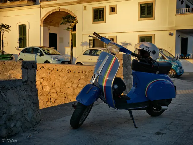 Examining the alignments of the aid with the domestic market was also part of the Commission's...