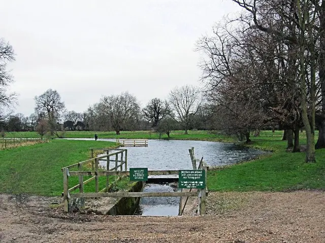 This picture is clicked outside the city. In the center there is a water body, green grass and...