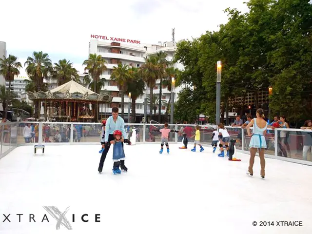 In this picture I can see group of people doing skating on the ice, there are toy penguins, there...