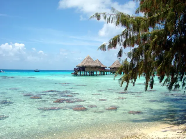 In this image in the front on the right side there are leaves. In the center there are huts and in...