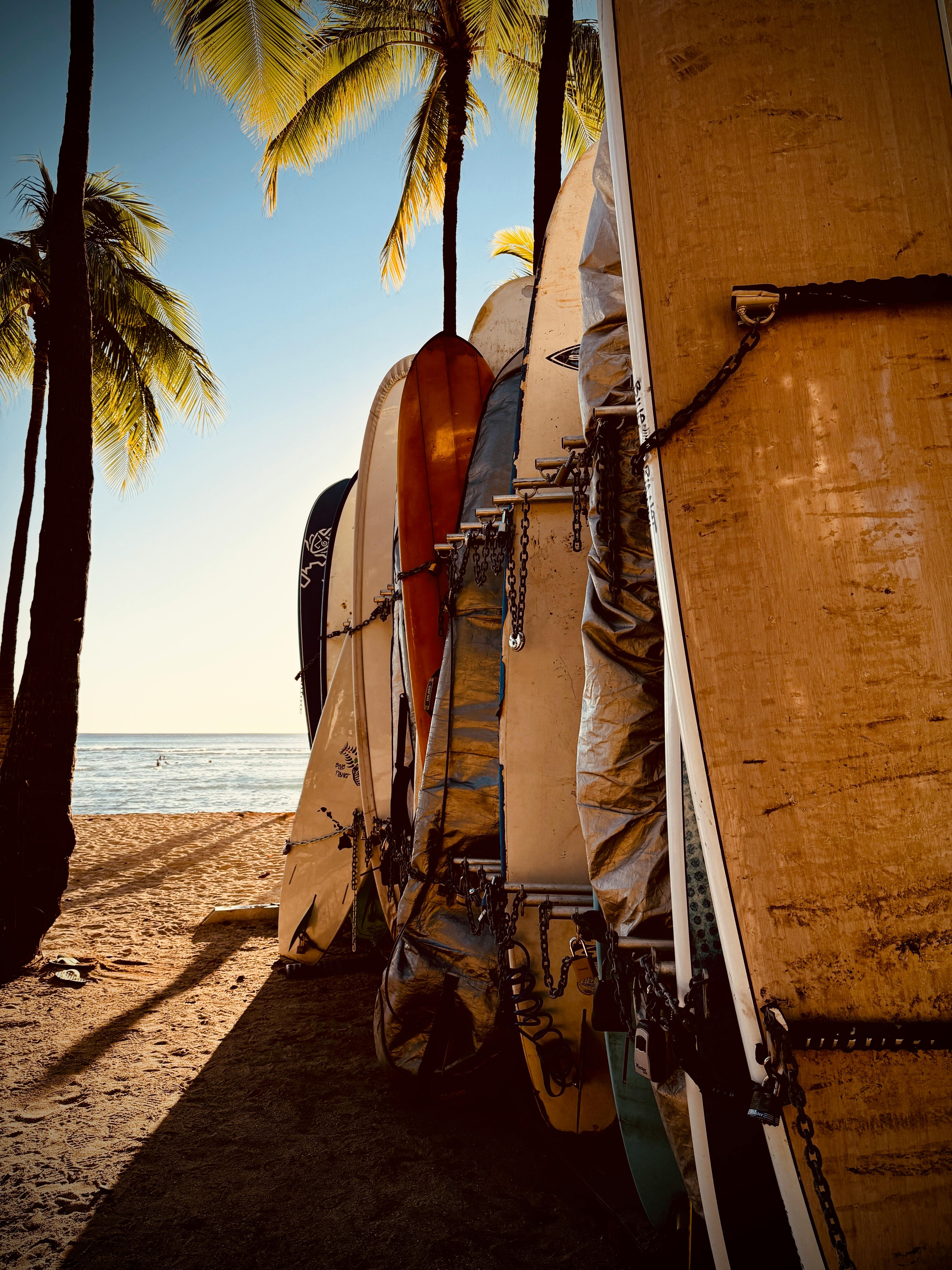 Clash ensues between supporters and opponents of political candidate A in a heated rally, resulting in several injuries and arrests. Nathan Hurley journeys a massive 16,250 miles, traversing 26 nations from Wales to Australia on two wheels.